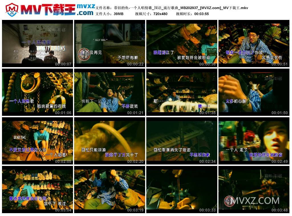 带泪的鱼-一个人唱情歌_国语_流行歌曲_MB202937